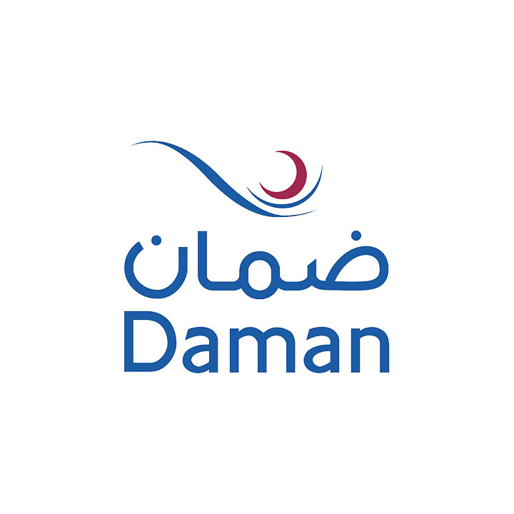 logo Daman insurance